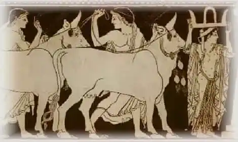 Геракл открывает дорогу к океану и пригоняет стадо Гериона