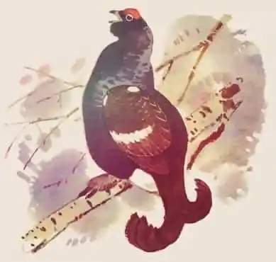 Байка про тетерева сказка русская для детей