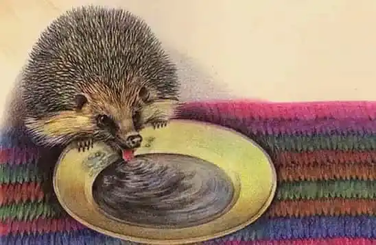 Ёж, рассказ про ежа