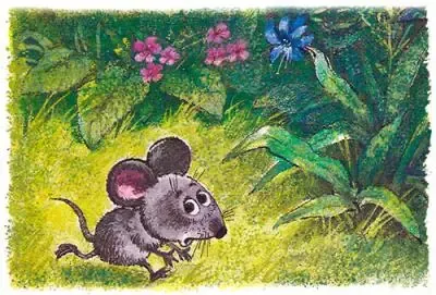 Сказка об умном мышонке