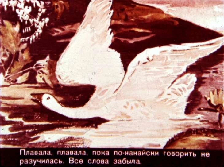 ayoga-30