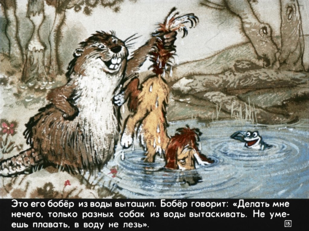 bobik-ohotnichiy-pes-19