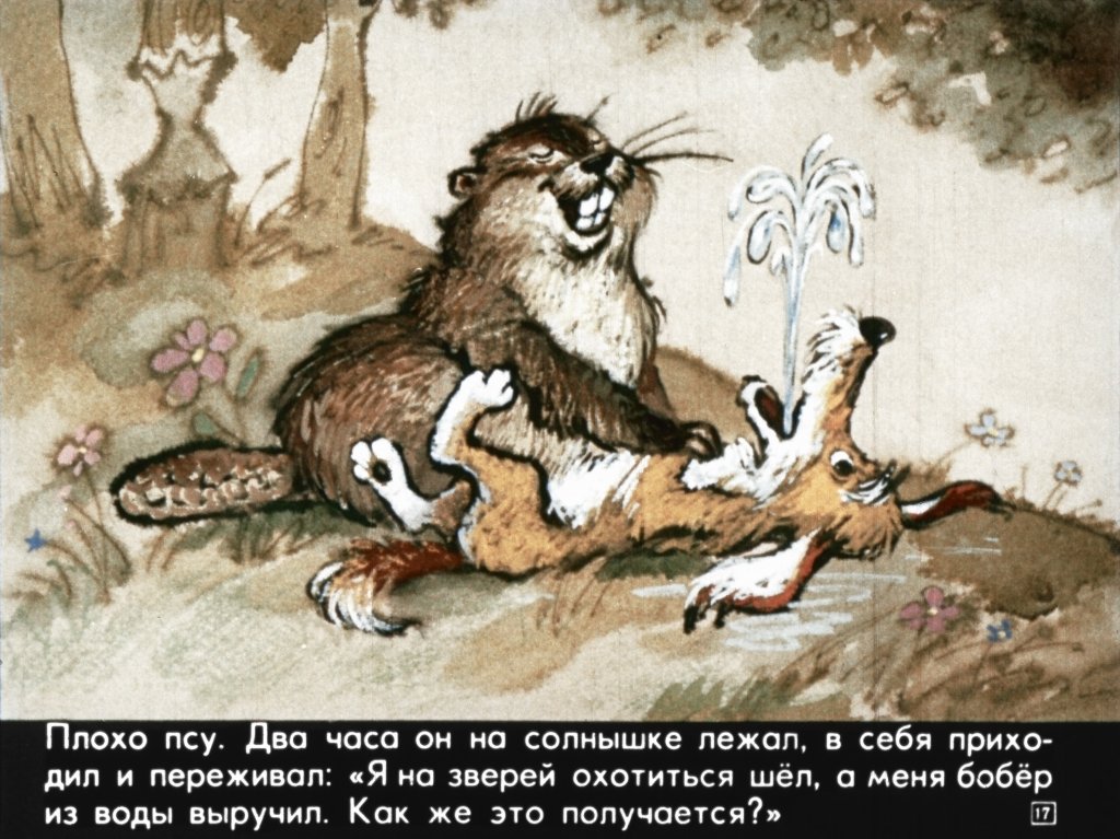 bobik-ohotnichiy-pes-21