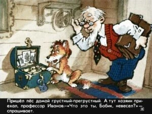 bobik-ohotnichiy-pes-22