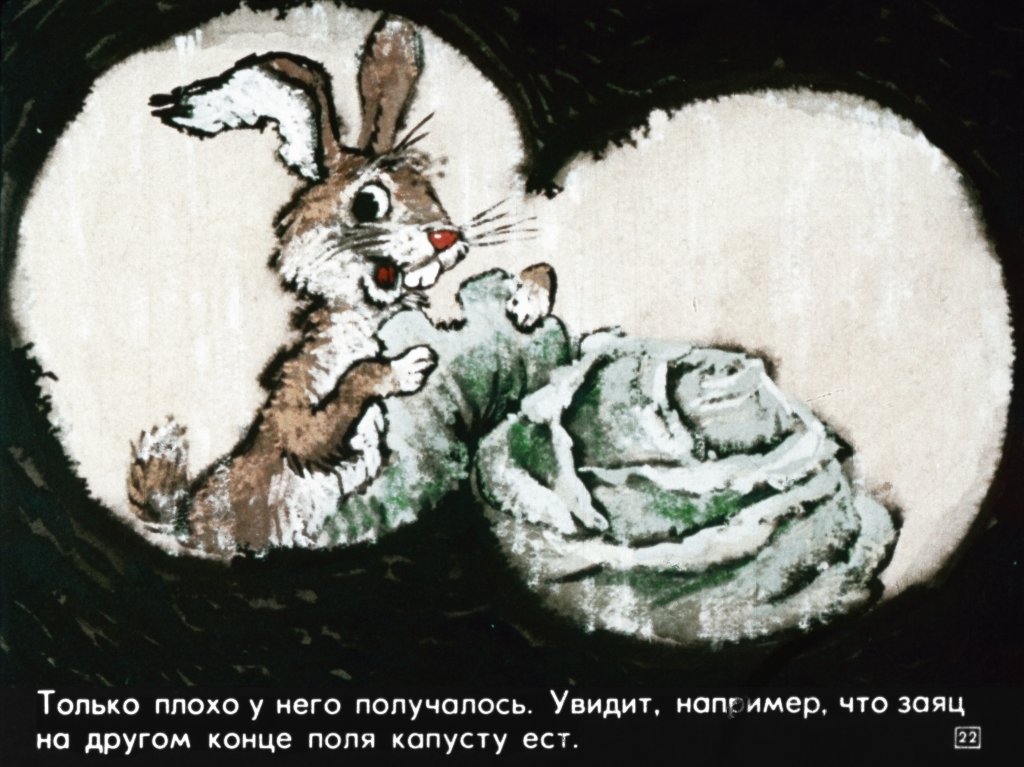 bobik-ohotnichiy-pes-26