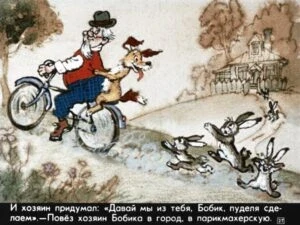bobik-ohotnichiy-pes-31