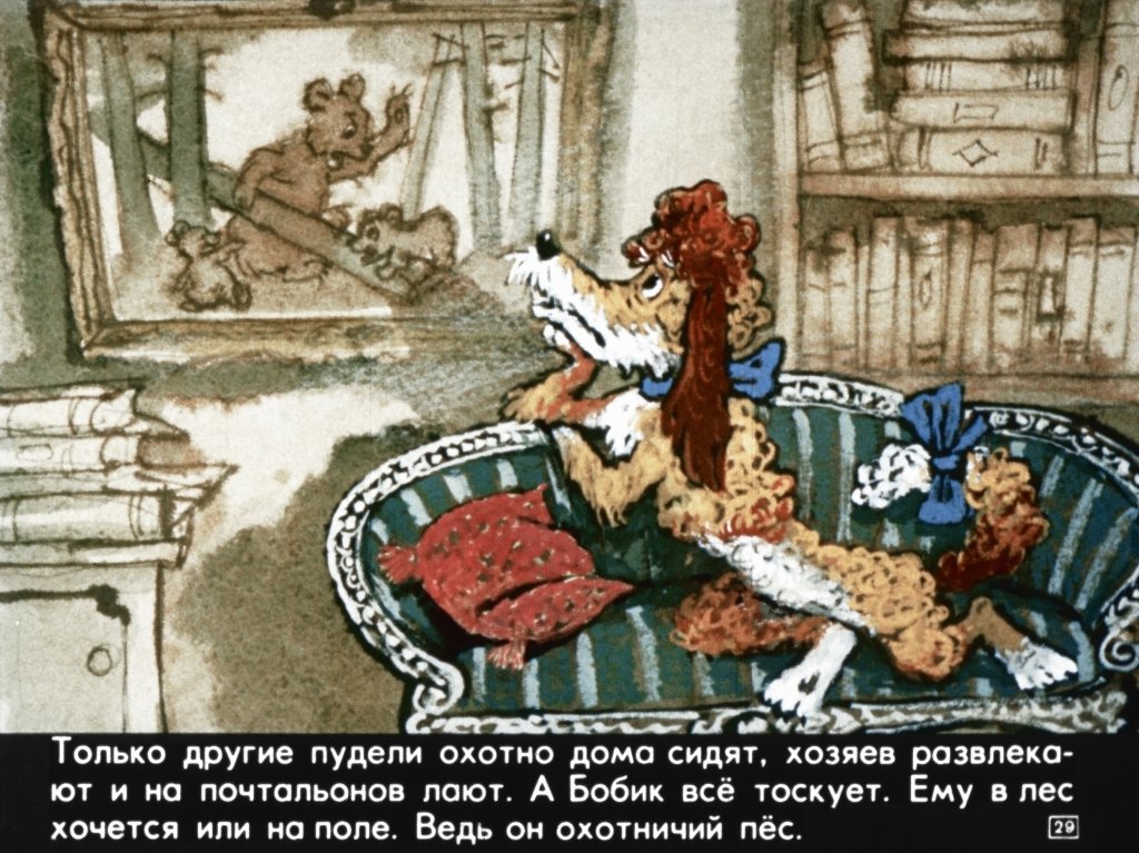 bobik-ohotnichiy-pes-33