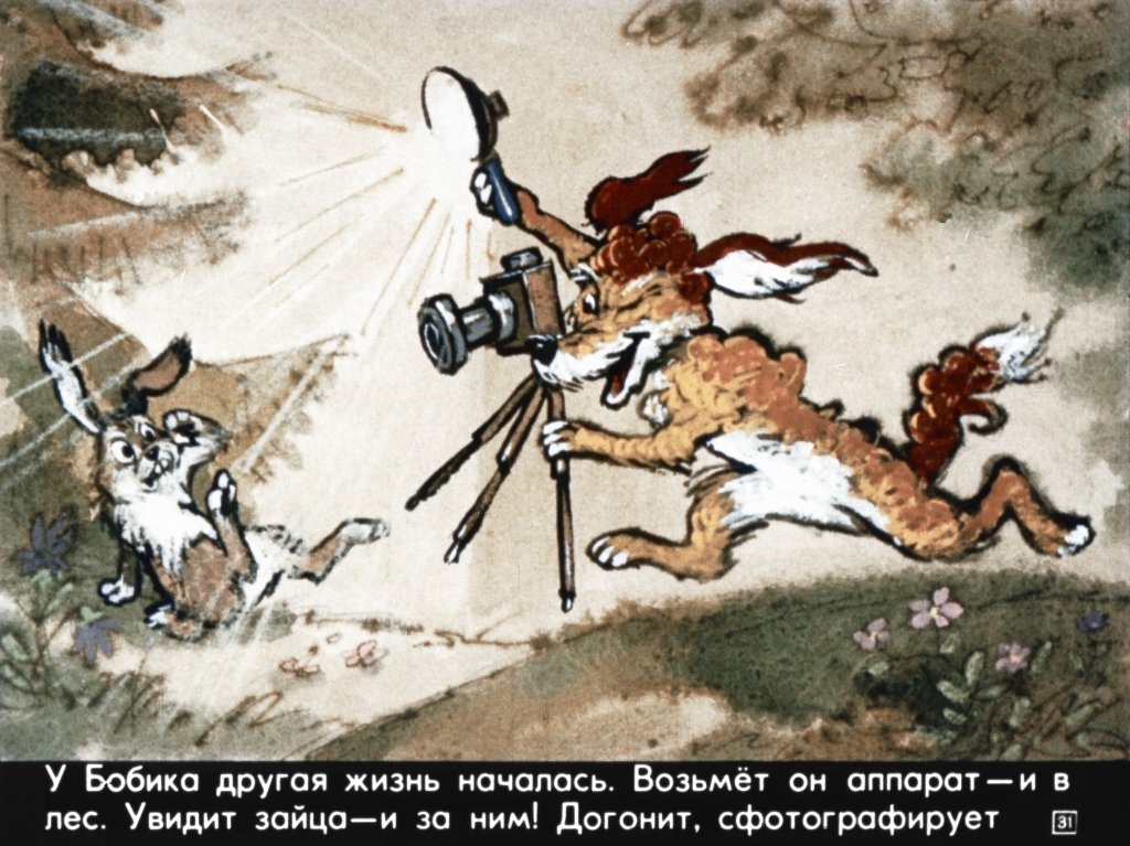 bobik-ohotnichiy-pes-35