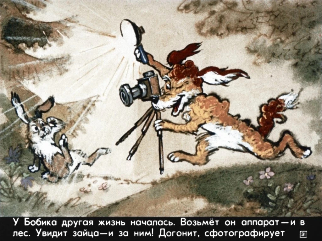 bobik-ohotnichiy-pes-35