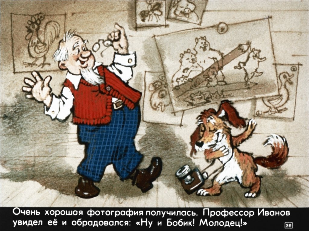 bobik-ohotnichiy-pes-40