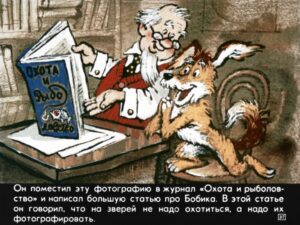 bobik-ohotnichiy-pes-41