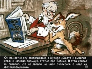 bobik-ohotnichiy-pes-41