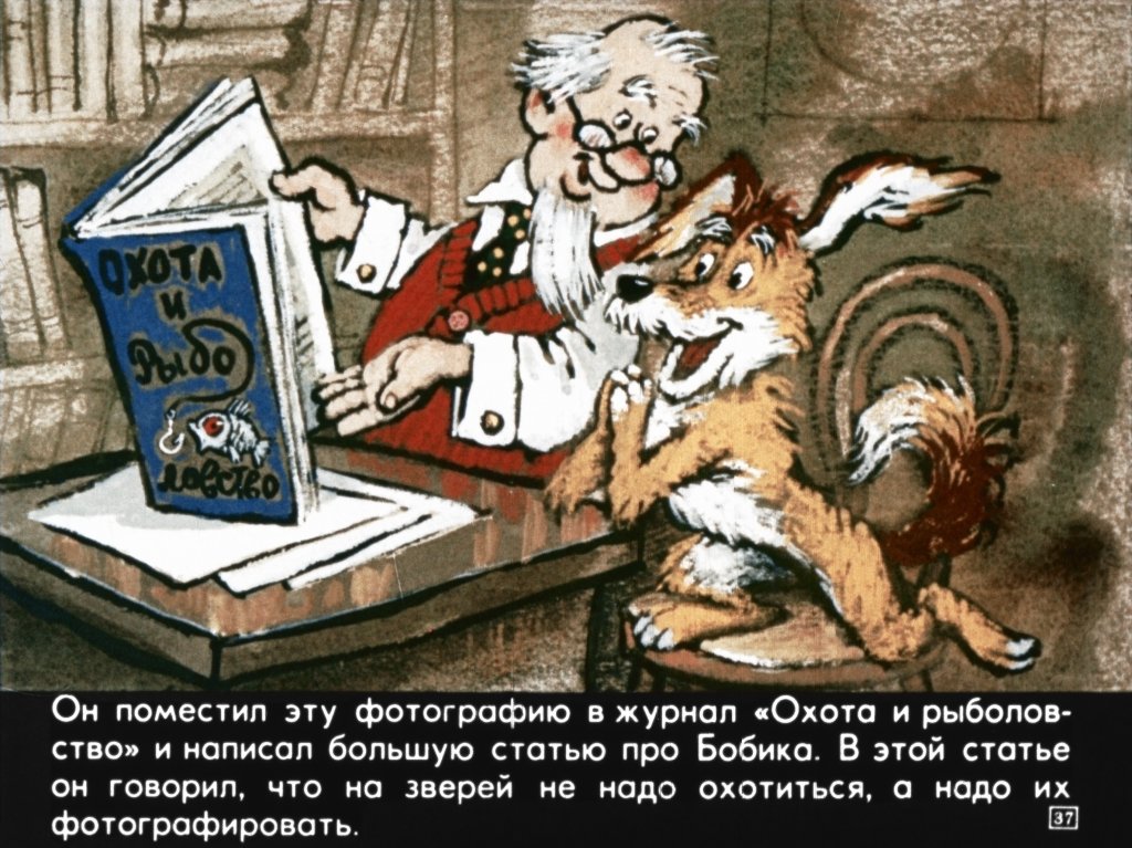 bobik-ohotnichiy-pes-41