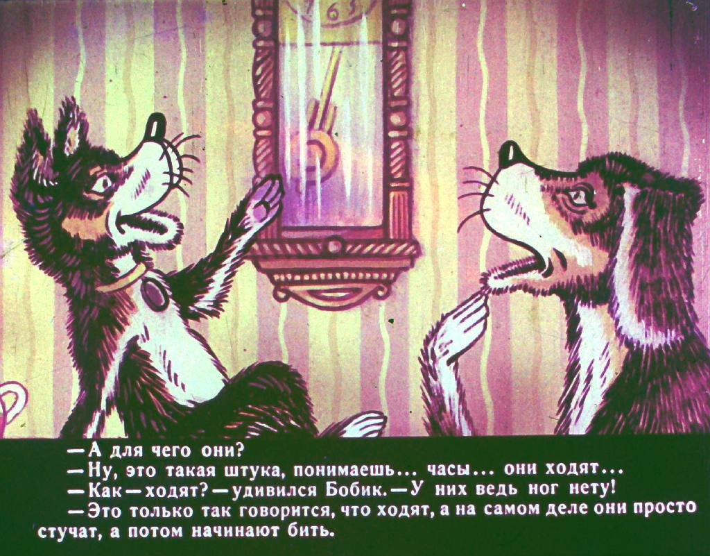 bobik-v-gostjah-u-barbosa-10