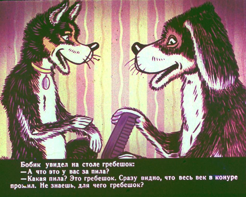 bobik-v-gostjah-u-barbosa-12