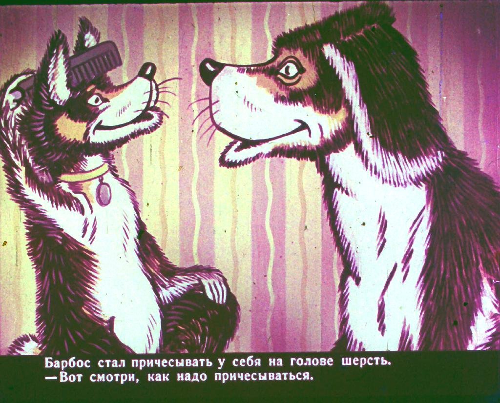 bobik-v-gostjah-u-barbosa-13