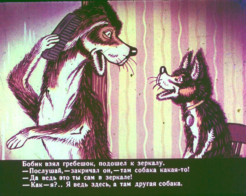 bobik-v-gostjah-u-barbosa-14