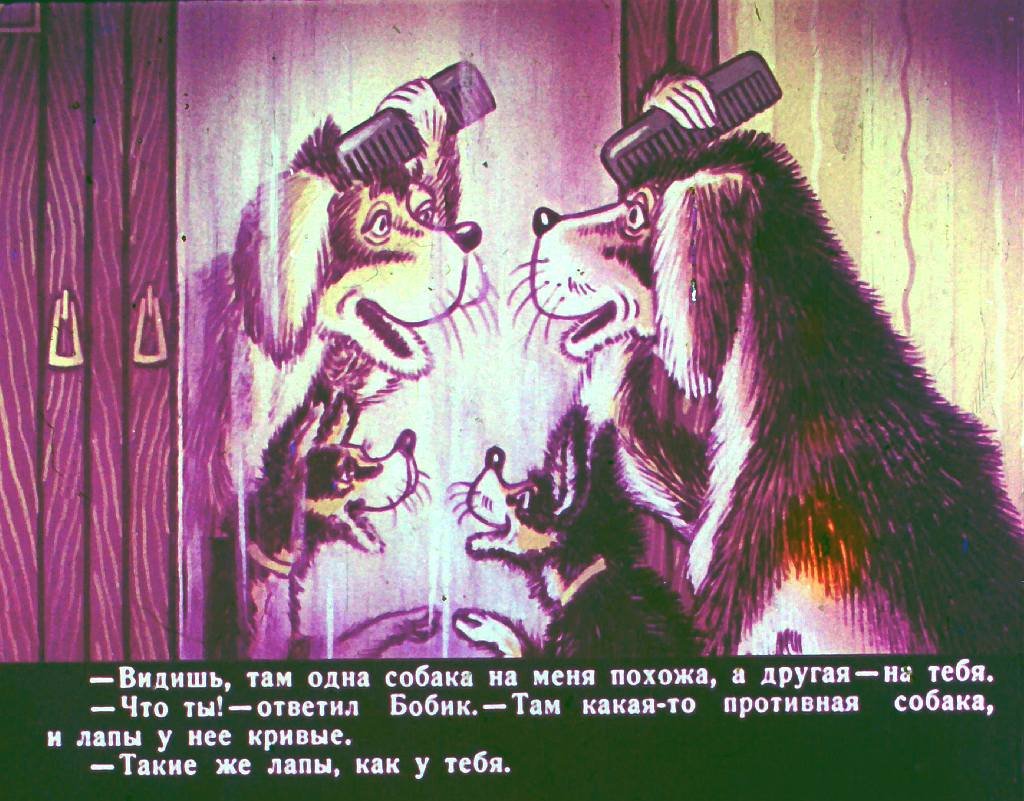 bobik-v-gostjah-u-barbosa-15