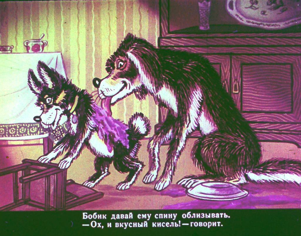 bobik-v-gostjah-u-barbosa-23