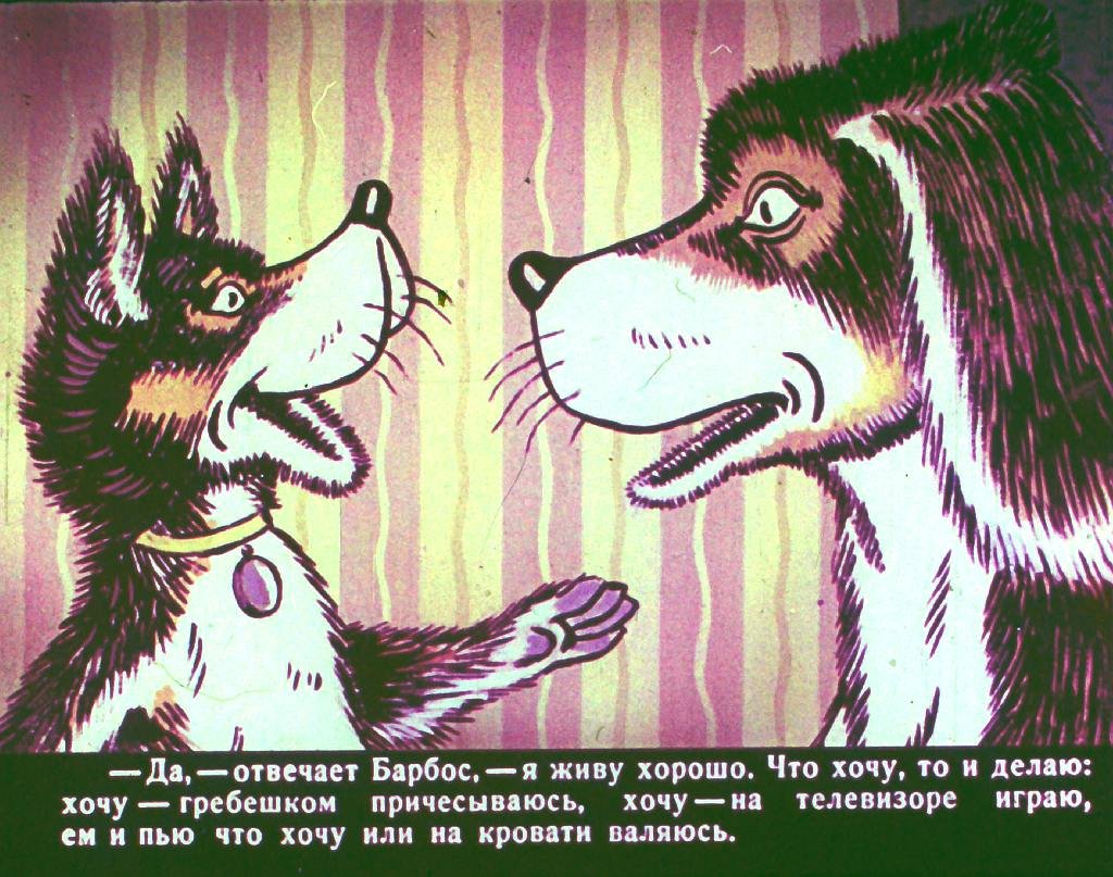 bobik-v-gostjah-u-barbosa-25