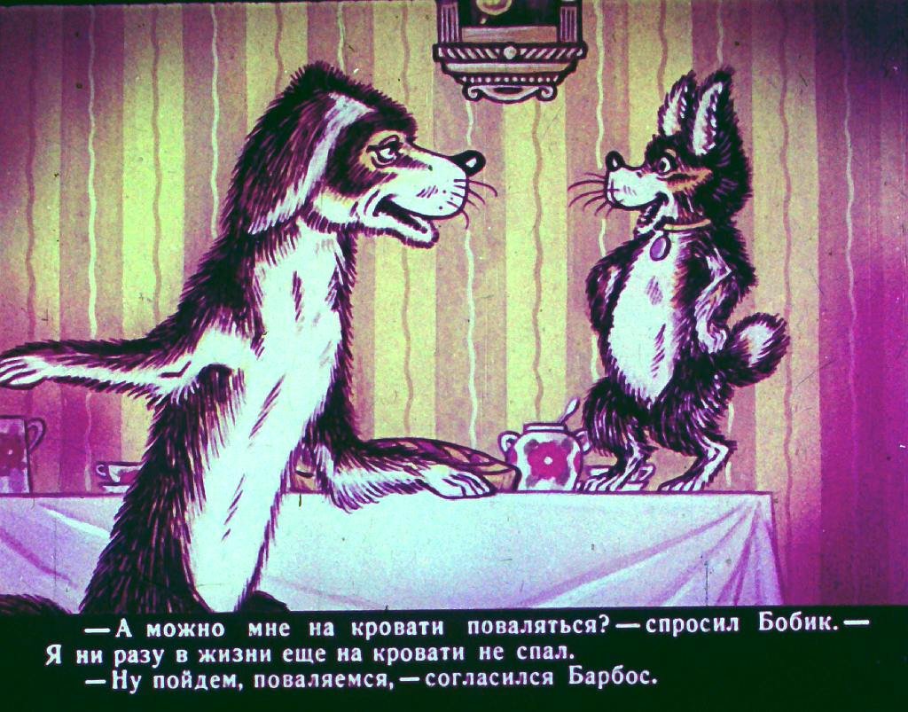 bobik-v-gostjah-u-barbosa-28