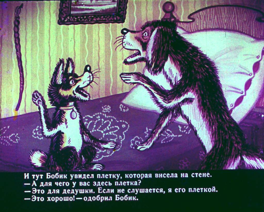 bobik-v-gostjah-u-barbosa-29