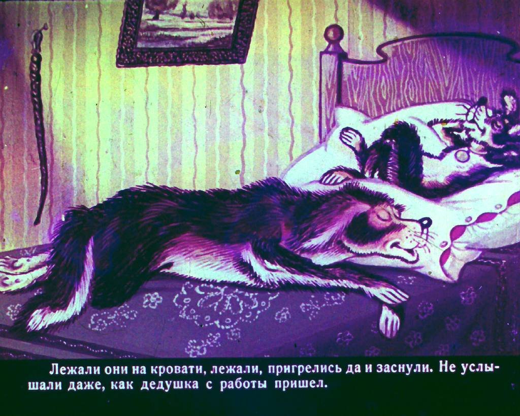 bobik-v-gostjah-u-barbosa-30