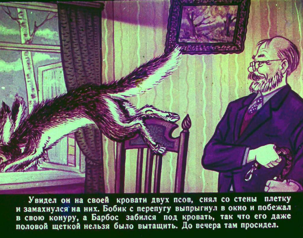 bobik-v-gostjah-u-barbosa-31