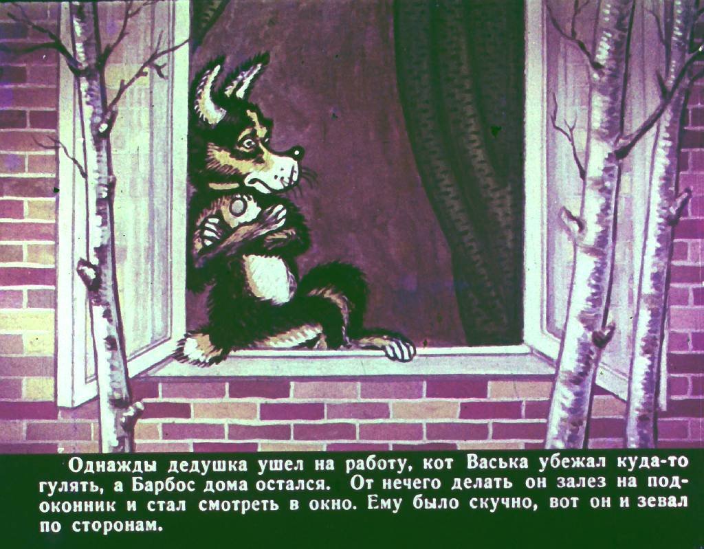 bobik-v-gostjah-u-barbosa-4