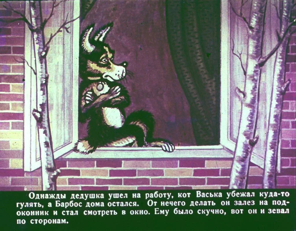 bobik-v-gostjah-u-barbosa-4