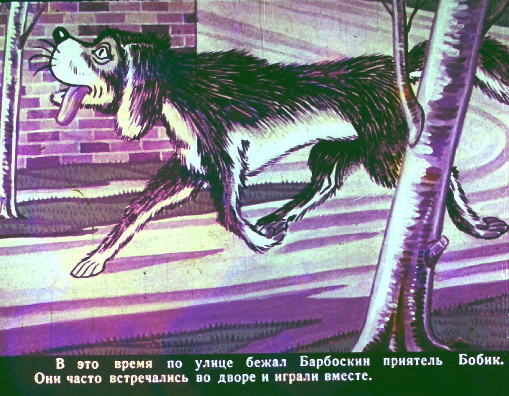 bobik-v-gostjah-u-barbosa-5