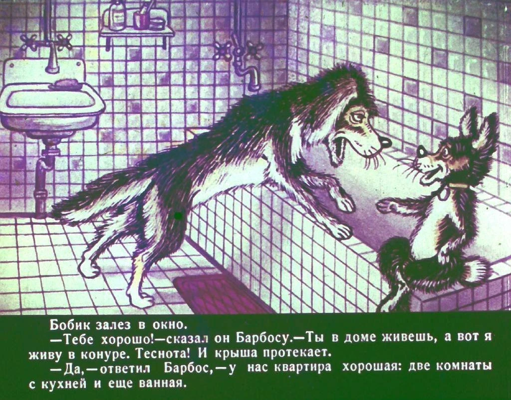 bobik-v-gostjah-u-barbosa-7