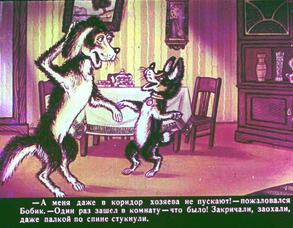 bobik-v-gostjah-u-barbosa-8