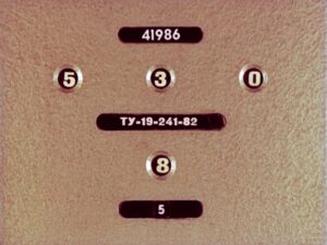 carevich-i-seryy-volk2