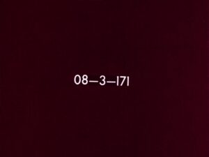 carevich-i-seryy-volk4