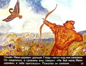 carevna-lyagushka-39