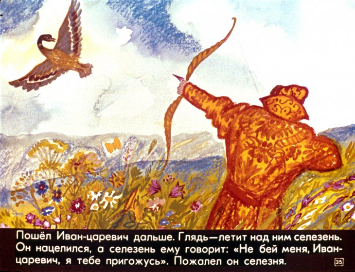 carevna-lyagushka-39