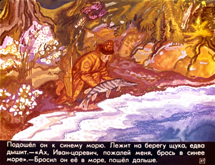 carevna-lyagushka-41