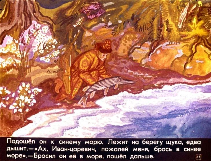 carevna-lyagushka-41