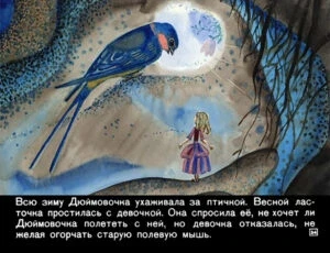 dyuymovochka36