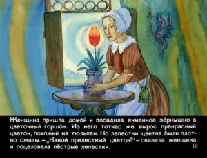 dyuymovochka6