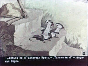 kolosok-15