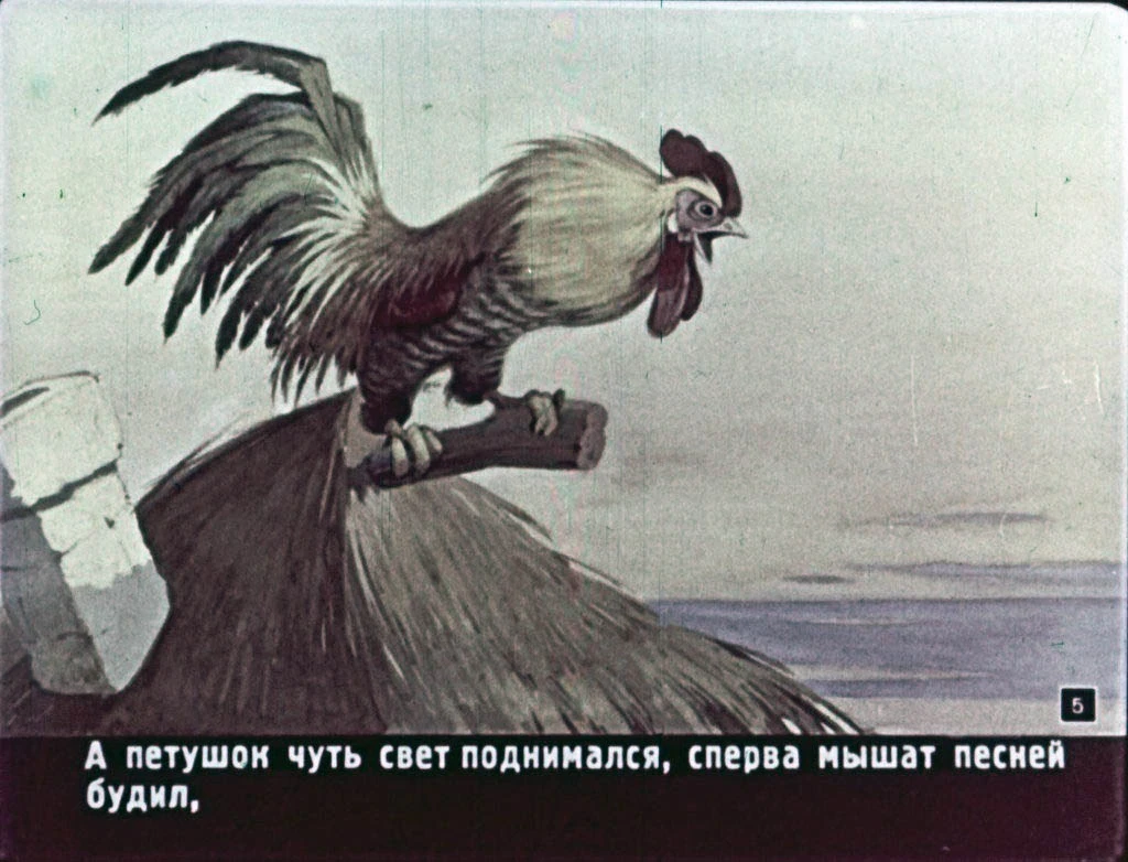 kolosok-5