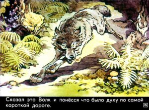 krasnaya-shapochka19