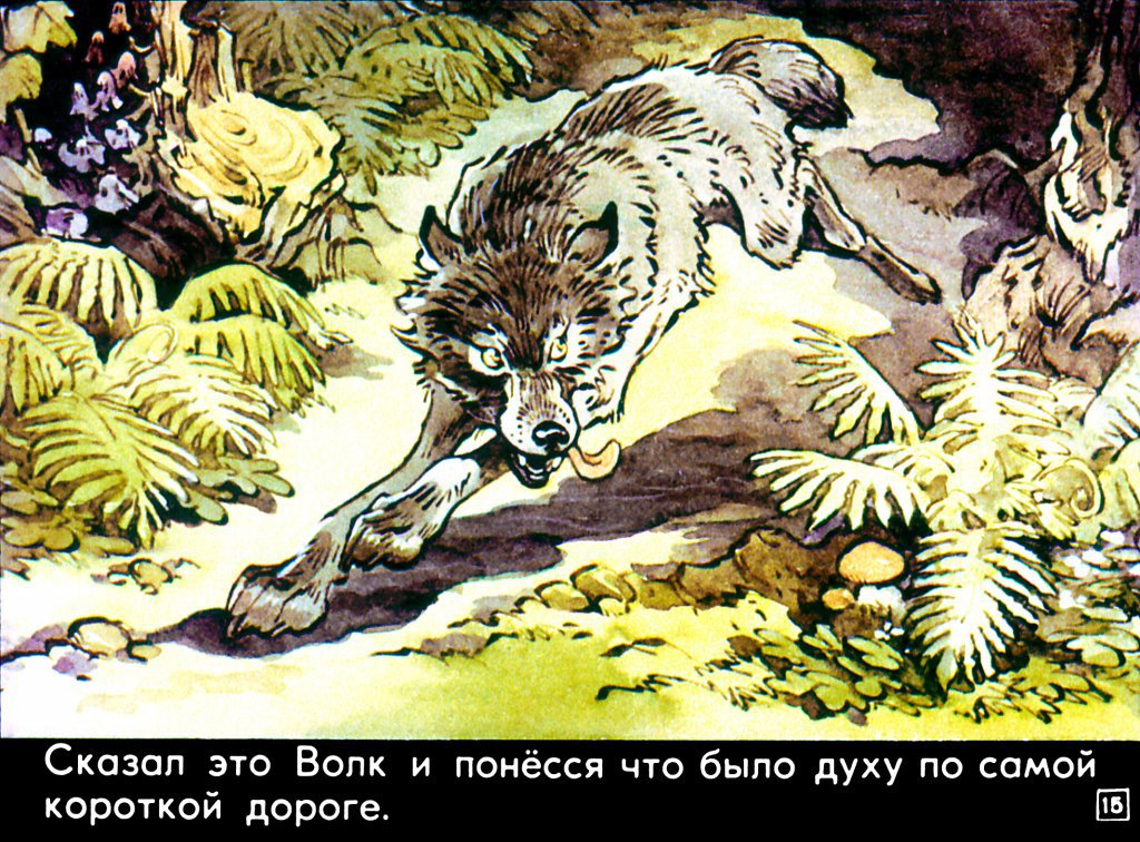 krasnaya-shapochka19