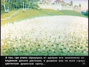 krupenichka-39