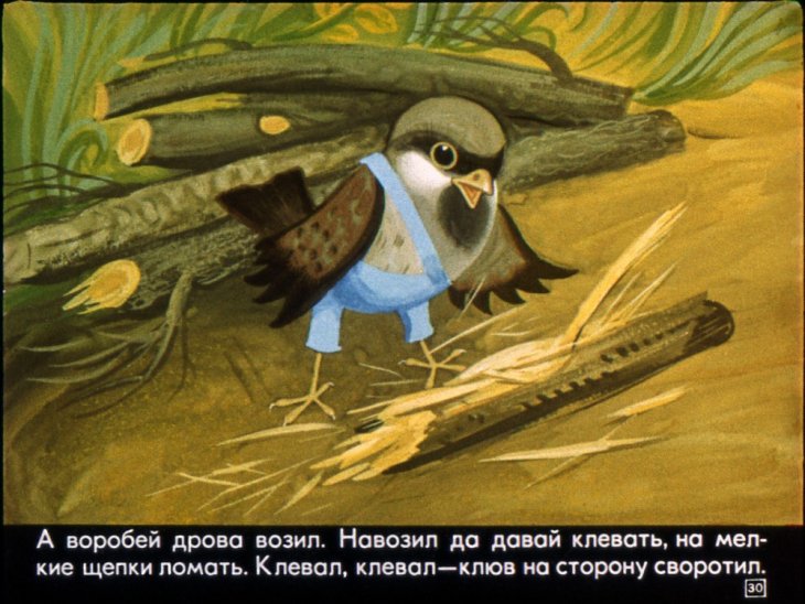 krylatyy-mohnatyy-34