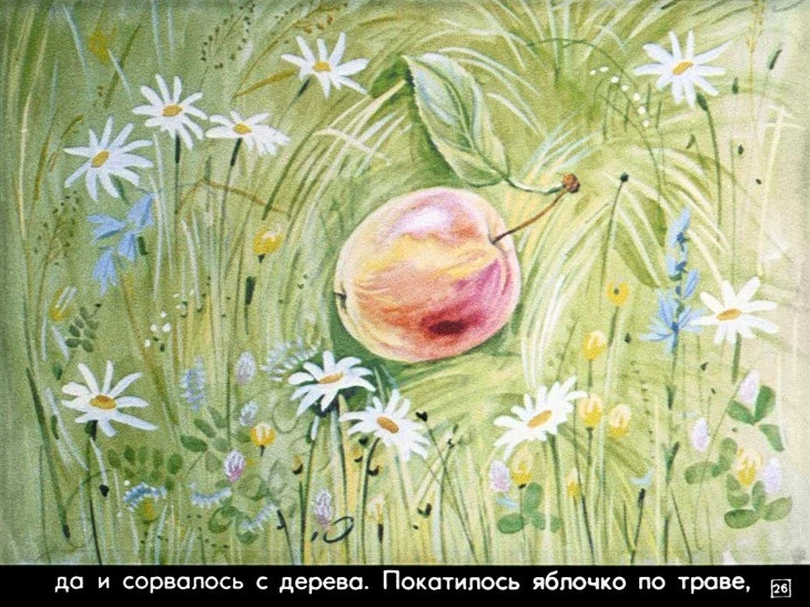 repka-30