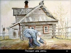 repka-6