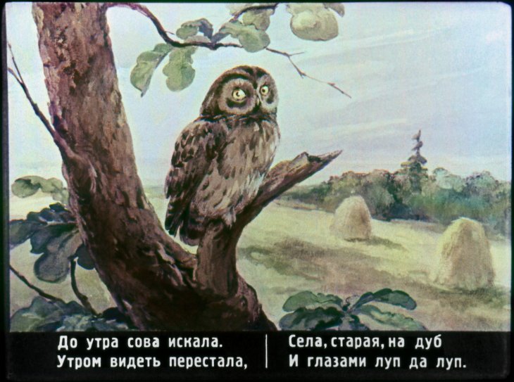 skazka-ob-umnom-myshonke-28